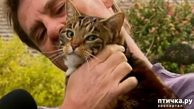 ���� 3: ����� ������ �������. ����� ����� ����� ��������...