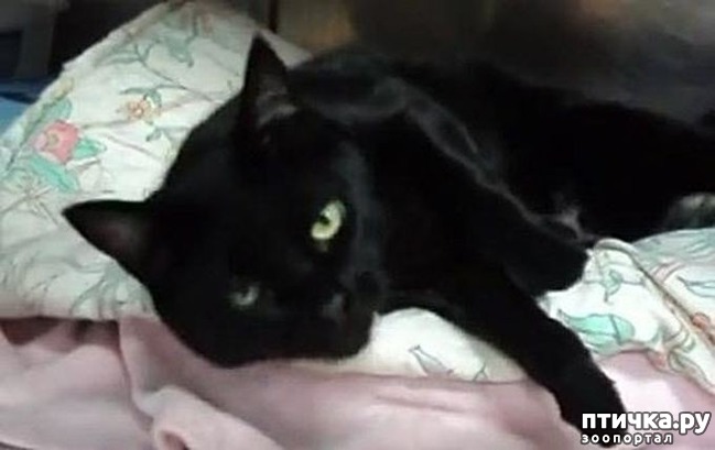 ���� 4: ����� ������ �������. ����� ����� ����� ��������...