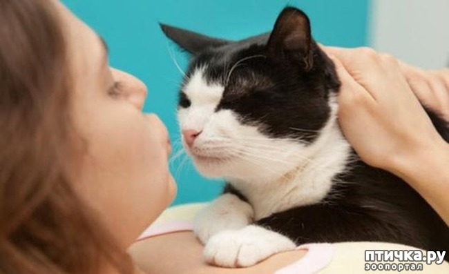 ���� 5: ����� ������ �������. ����� ����� ����� ��������...