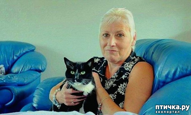 ���� 6: ����� ������ �������. ����� ����� ����� ��������...