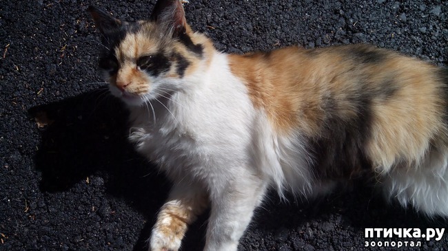 ���� 1: ������ - �����, ������� ����� ������