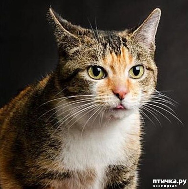 ���� 7: ����� ������ �������. ����� ����� ����� ��������...