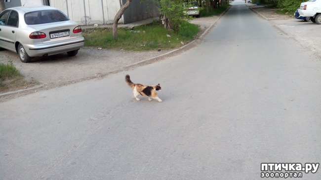 ���� 6: ������ - �����, ������� ����� ������