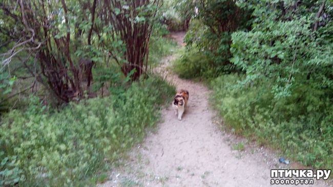 ���� 7: ������ - �����, ������� ����� ������