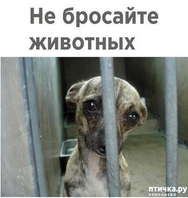 ���� 1: ��������� ����� �� ������