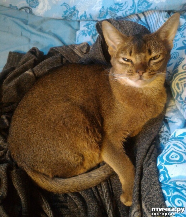 ���� 2: ��������� ������� ����� ������������ ����������� ������