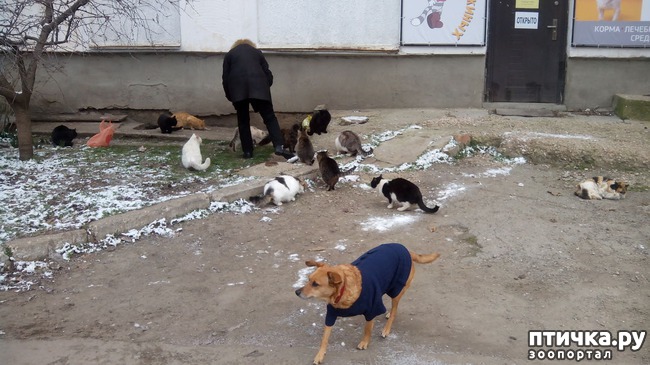 ���� 3: ������ - �����, ������� ����� ������