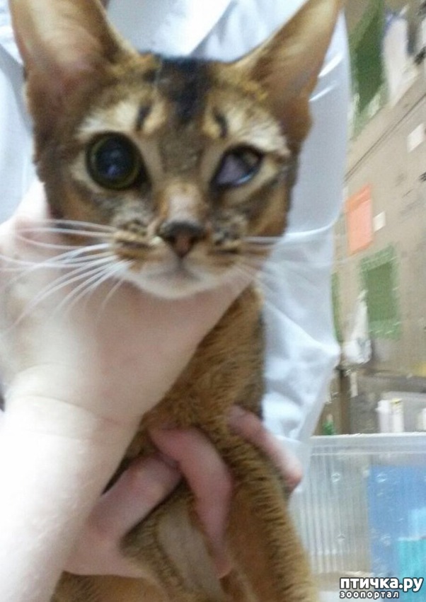 ���� 3: ��������� ������� ����� ������������ ����������� ������