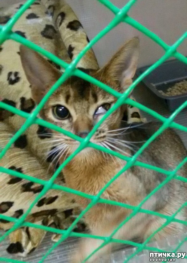 ���� 4: ��������� ������� ����� ������������ ����������� ������