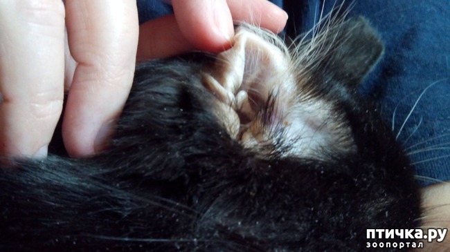 ���� 5: ��������� ������