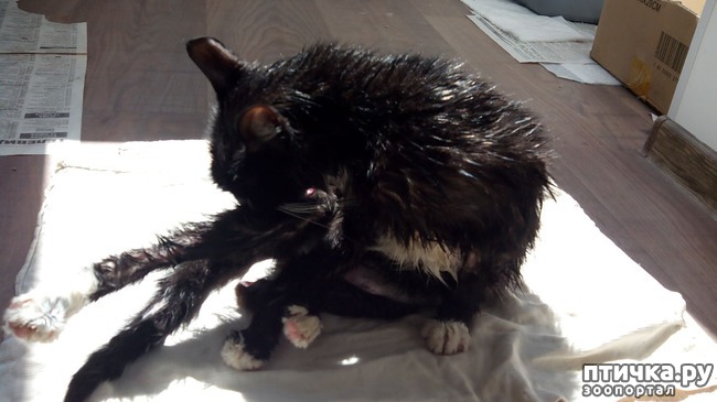 ���� 7: ��������� ������