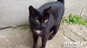 ����: ���������