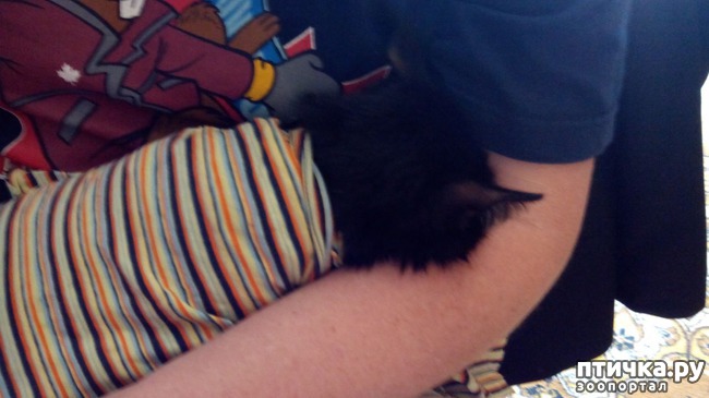 ���� 8: ��������� ������