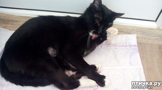 ���� 9: ��������� ������