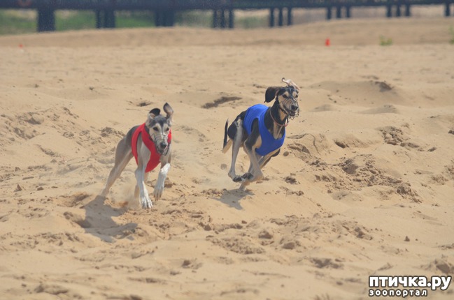 ���� 25: ��������� �� �������� ������-2017