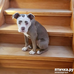 ����: ����� �������� ������ � ����