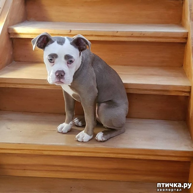 ���� 1: ����� �������� ������ � ����