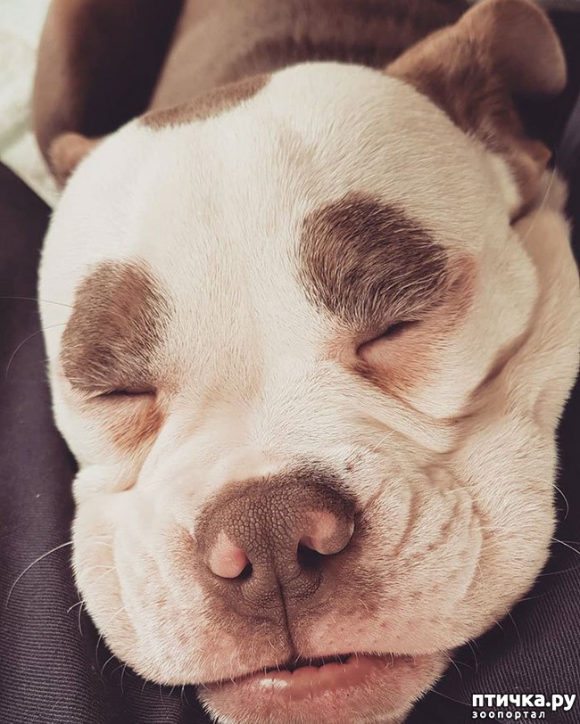 ���� 2: ����� �������� ������ � ����