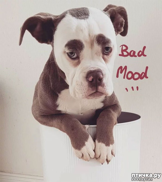 ���� 3: ����� �������� ������ � ����