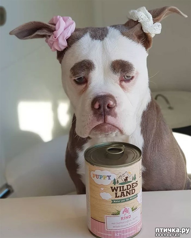 ���� 5: ����� �������� ������ � ����