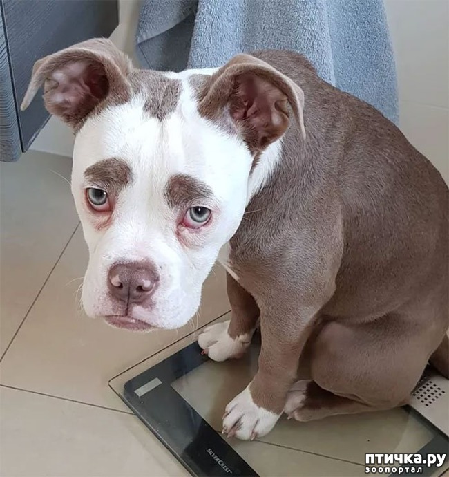 ���� 6: ����� �������� ������ � ����