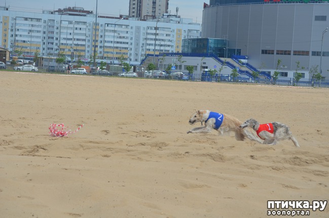 ���� 24: ��������� �� �������� ������-2017