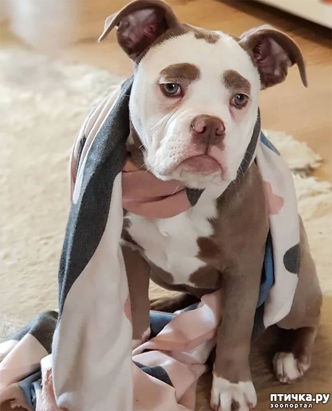 ���� 8: ����� �������� ������ � ����