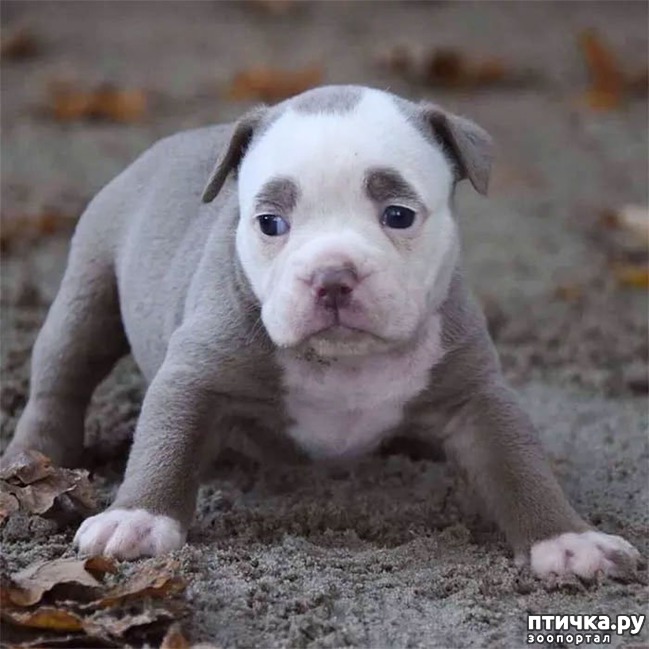 ���� 9: ����� �������� ������ � ����