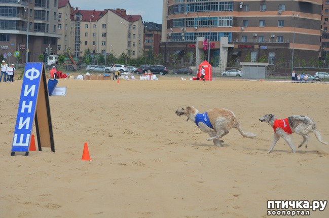 ���� 23: ��������� �� �������� ������-2017