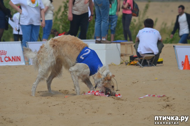 ���� 22: ��������� �� �������� ������-2017