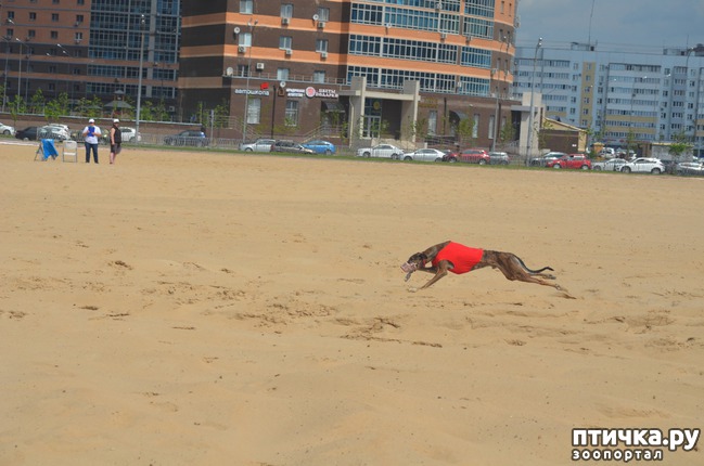 ���� 21: ��������� �� �������� ������-2017