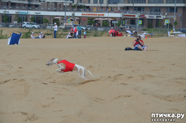 ���� 20: ��������� �� �������� ������-2017