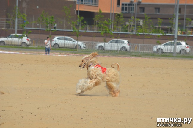 ���� 19: ��������� �� �������� ������-2017