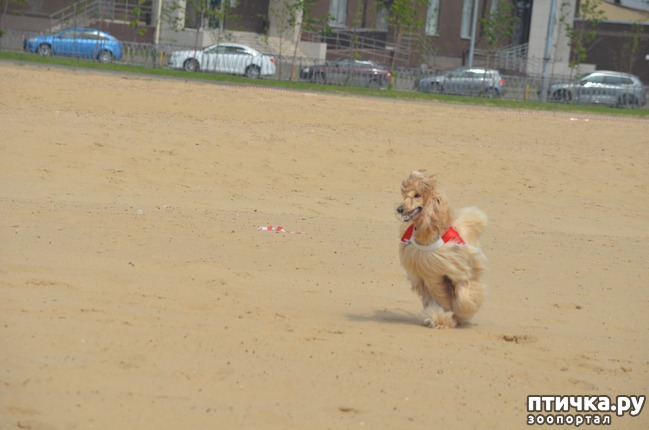 ���� 18: ��������� �� �������� ������-2017