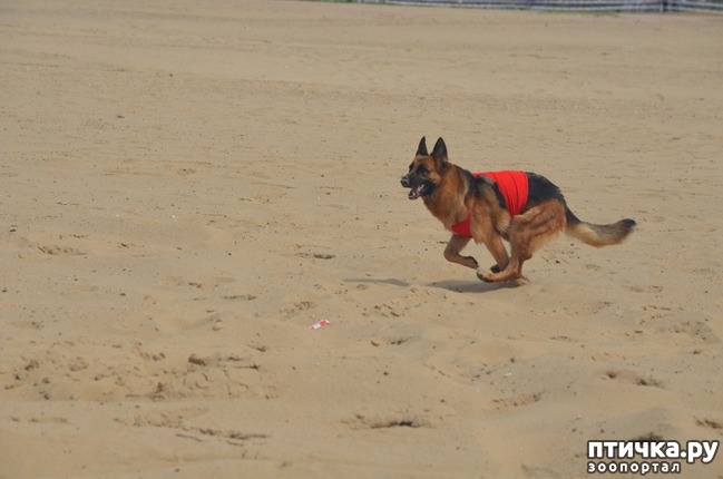 ���� 17: ��������� �� �������� ������-2017