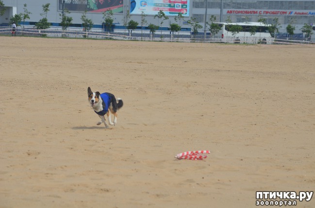 ���� 16: ��������� �� �������� ������-2017