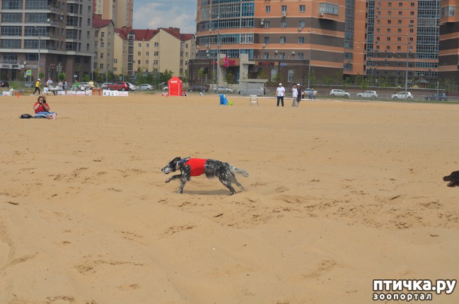 ���� 15: ��������� �� �������� ������-2017