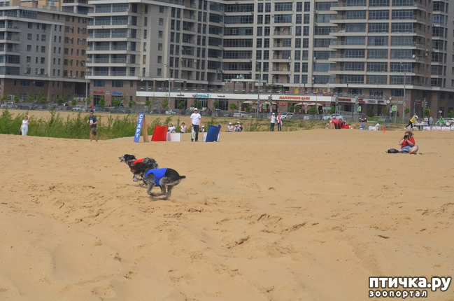 ���� 14: ��������� �� �������� ������-2017