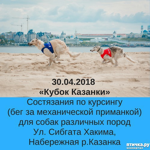 ���� 27: ��������� �� �������� ������-2017