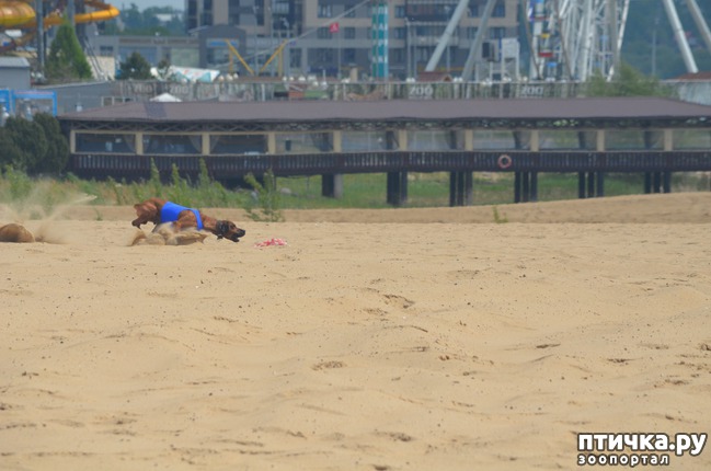 ���� 12: ��������� �� �������� ������-2017