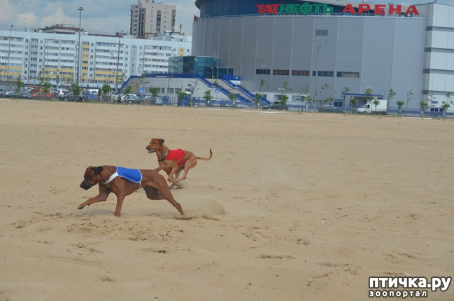 ���� 11: ��������� �� �������� ������-2017