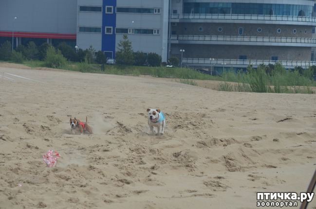 ���� 10: ��������� �� �������� ������-2017