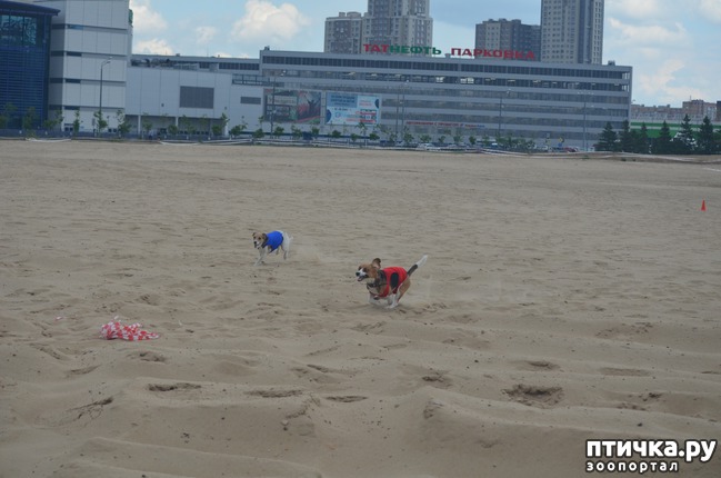 ���� 9: ��������� �� �������� ������-2017