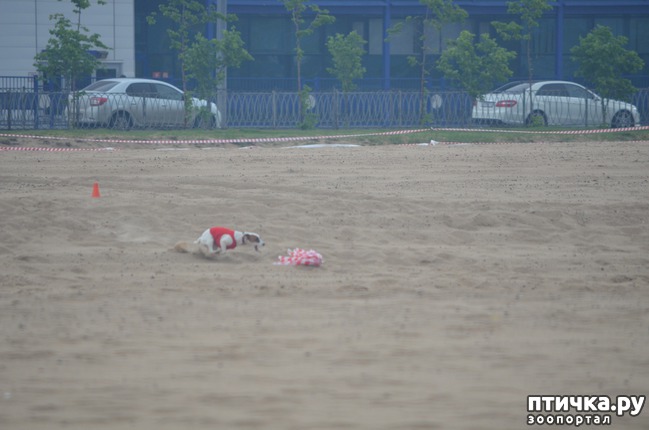 ���� 8: ��������� �� �������� ������-2017