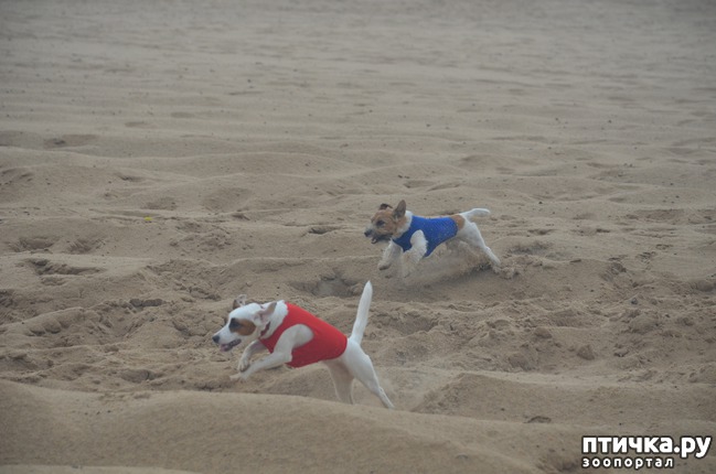 ���� 7: ��������� �� �������� ������-2017