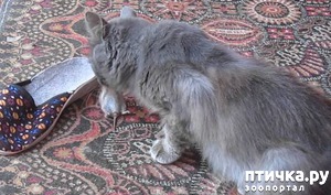 ����: ��������� �����!