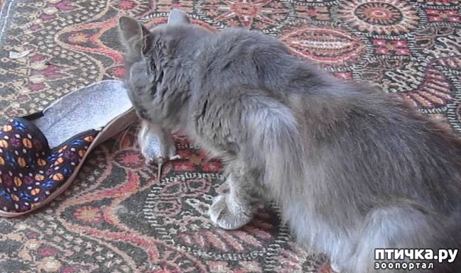 ���� 1: ��������� �����!