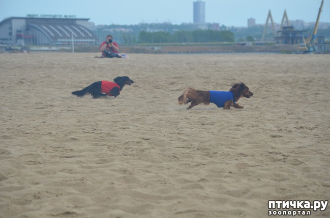 ���� 6: ��������� �� �������� ������-2017