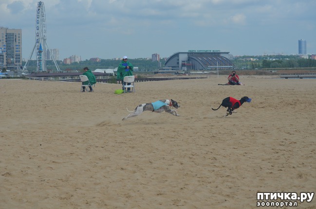 ���� 5: ��������� �� �������� ������-2017