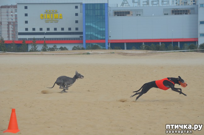 ���� 4: ��������� �� �������� ������-2017